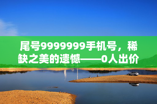 尾号9999999手机号，稀缺之美的遗憾——0人出价流拍背后的思考