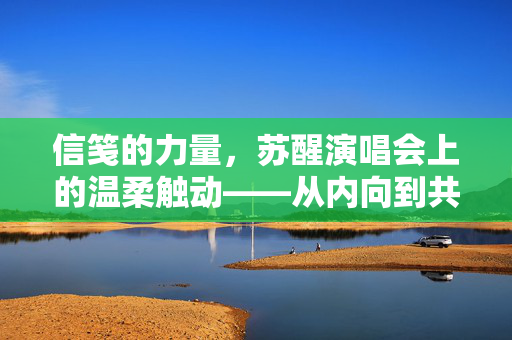 信笺的力量，苏醒演唱会上的温柔触动——从内向到共鸣的跨越