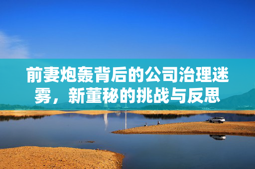 前妻炮轰背后的公司治理迷雾，新董秘的挑战与反思