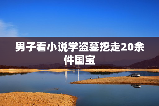 男子看小说学盗墓挖走20余件国宝