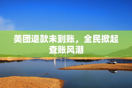 美团退款未到账，全民掀起查账风潮