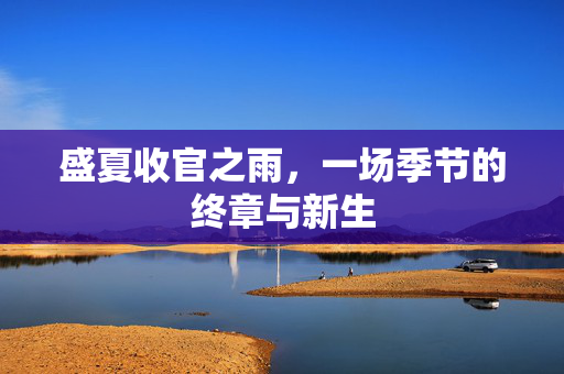 盛夏收官之雨，一场季节的终章与新生