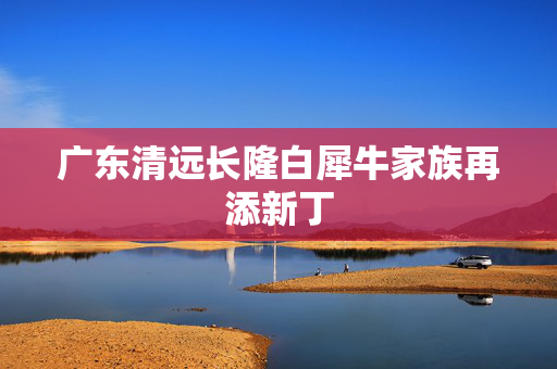 广东清远长隆白犀牛家族再添新丁