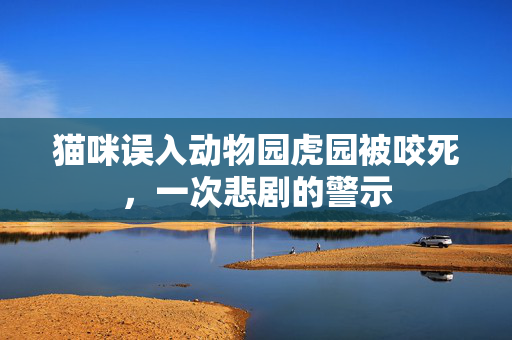 猫咪误入动物园虎园被咬死，一次悲剧的警示