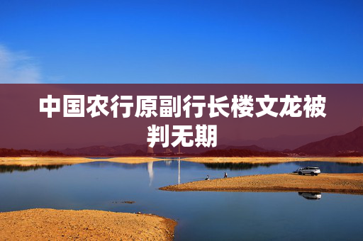 中国农行原副行长楼文龙被判无期