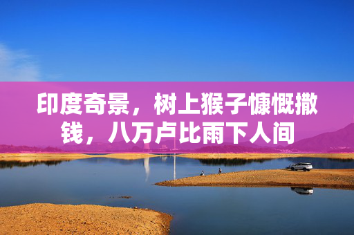 印度奇景，树上猴子慷慨撒钱，八万卢比雨下人间