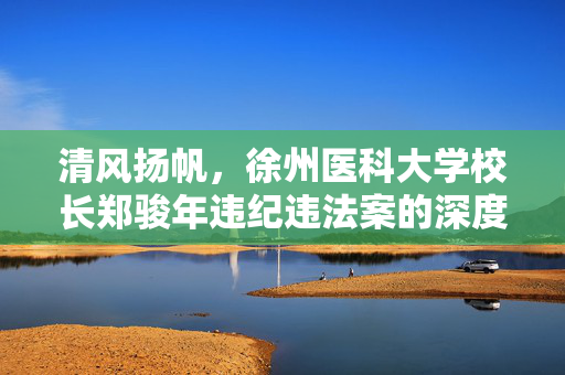 清风扬帆，徐州医科大学校长郑骏年违纪违法案的深度剖析与反思