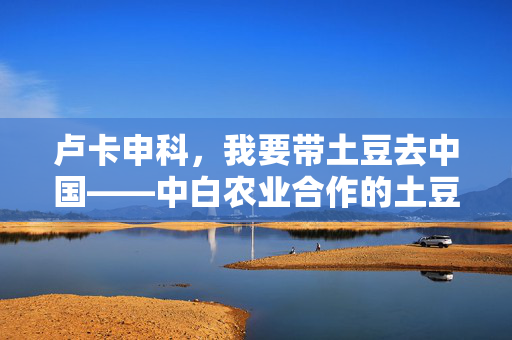 卢卡申科，我要带土豆去中国——中白农业合作的土豆故事