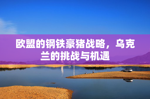 欧盟的钢铁豪猪战略，乌克兰的挑战与机遇