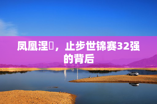 凤凰涅槃，止步世锦赛32强的背后
