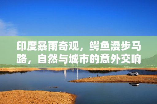 印度暴雨奇观，鳄鱼漫步马路，自然与城市的意外交响