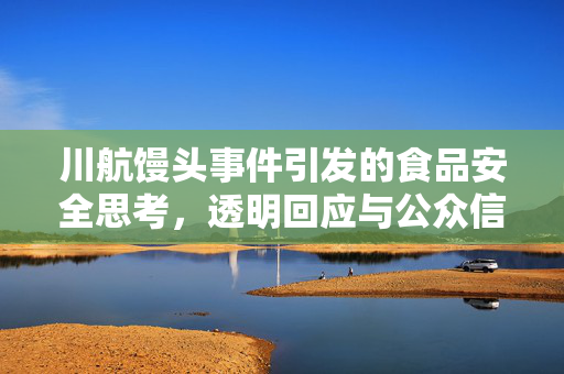 川航馒头事件引发的食品安全思考，透明回应与公众信任的重建