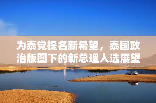 为泰党提名新希望，泰国政治版图下的新总理人选展望