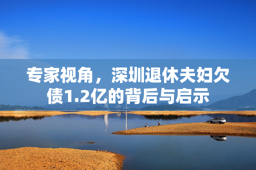 专家视角，深圳退休夫妇欠债1.2亿的背后与启示