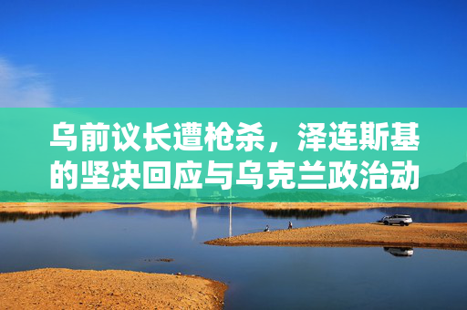 乌前议长遭枪杀，泽连斯基的坚决回应与乌克兰政治动荡的深层剖析
