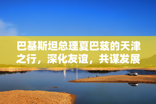 巴基斯坦总理夏巴兹的天津之行，深化友谊，共谋发展新篇章
