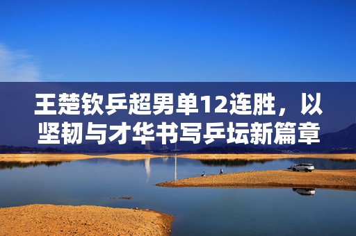 王楚钦乒超男单12连胜，以坚韧与才华书写乒坛新篇章