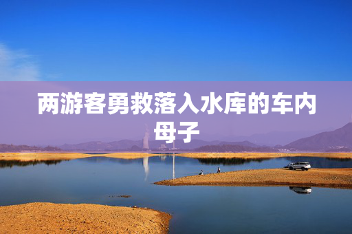 两游客勇救落入水库的车内母子