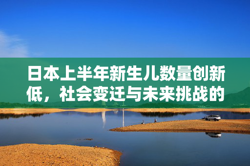 日本上半年新生儿数量创新低，社会变迁与未来挑战的深刻反思