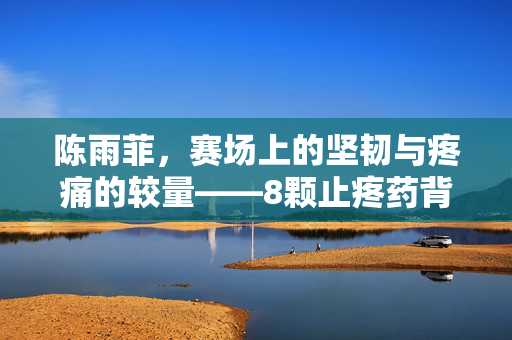 陈雨菲，赛场上的坚韧与疼痛的较量——8颗止疼药背后的故事