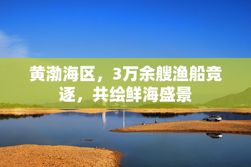 黄渤海区，3万余艘渔船竞逐，共绘鲜海盛景
