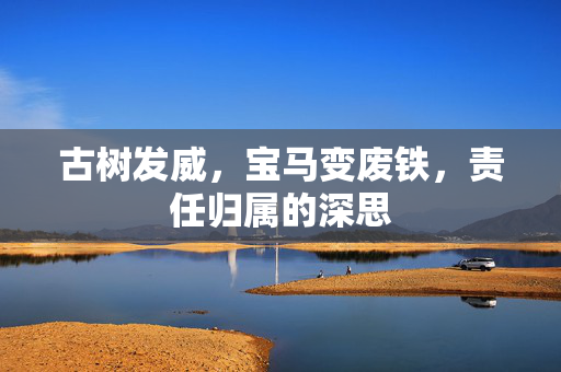 古树发威，宝马变废铁，责任归属的深思