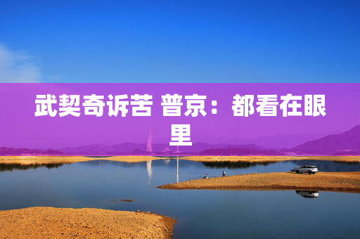 武契奇诉苦 普京：都看在眼里
