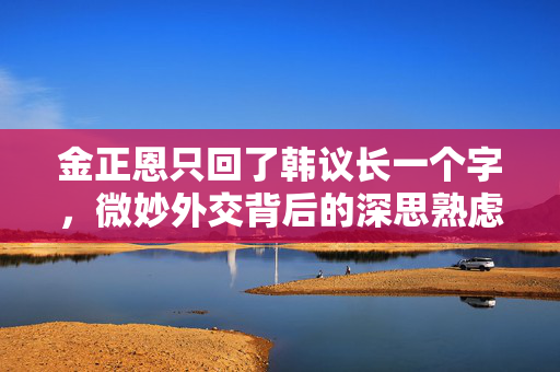金正恩只回了韩议长一个字，微妙外交背后的深思熟虑