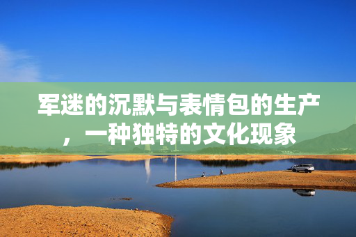 军迷的沉默与表情包的生产，一种独特的文化现象