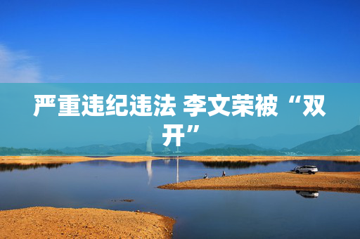 严重违纪违法 李文荣被“双开”