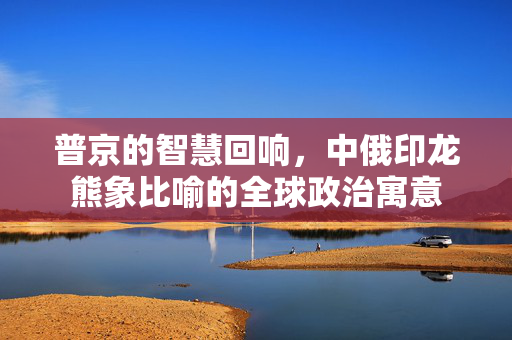 普京的智慧回响，中俄印龙熊象比喻的全球政治寓意