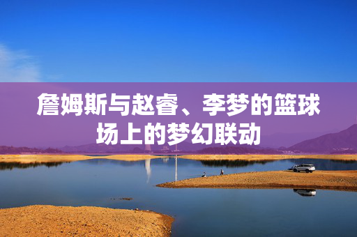 詹姆斯与赵睿、李梦的篮球场上的梦幻联动