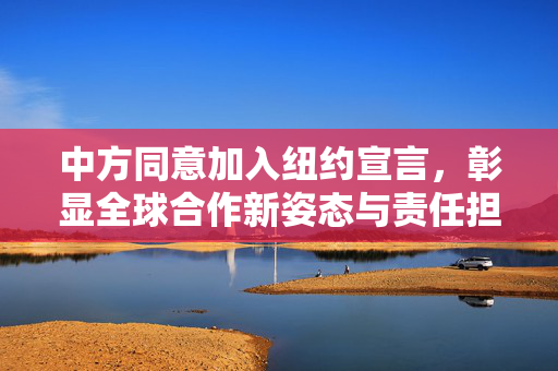 中方同意加入纽约宣言，彰显全球合作新姿态与责任担当