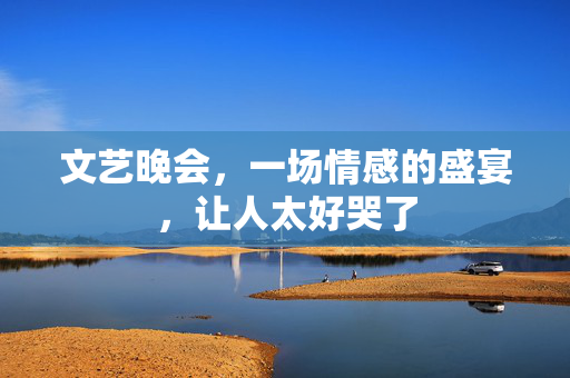 文艺晚会，一场情感的盛宴，让人太好哭了