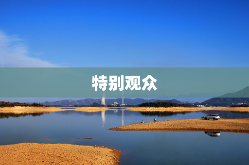 特别观众