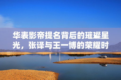 华表影帝提名背后的璀璨星光，张译与王一博的荣耀时刻