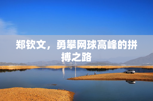 郑钦文，勇攀网球高峰的拼搏之路
