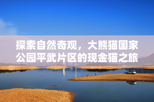 探索自然奇观，大熊猫国家公园平武片区的现金猫之旅