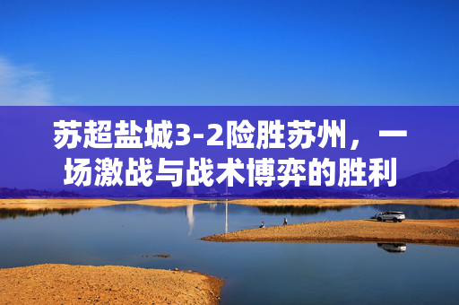 苏超盐城3-2险胜苏州，一场激战与战术博弈的胜利