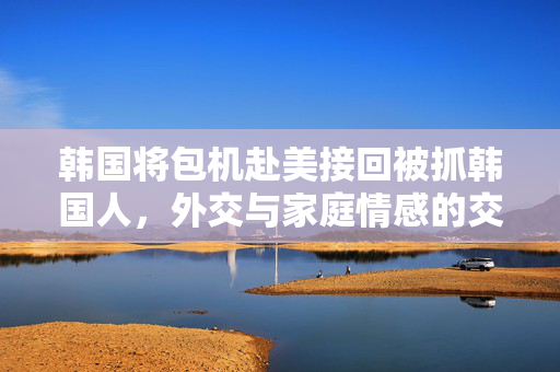 韩国将包机赴美接回被抓韩国人，外交与家庭情感的交织