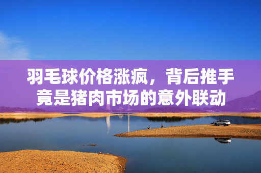 羽毛球价格涨疯，背后推手竟是猪肉市场的意外联动