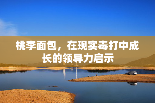 桃李面包，在现实毒打中成长的领导力启示