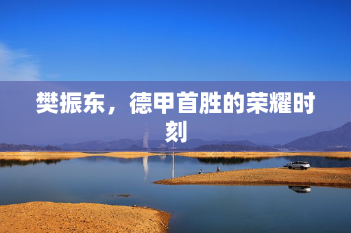 樊振东，德甲首胜的荣耀时刻