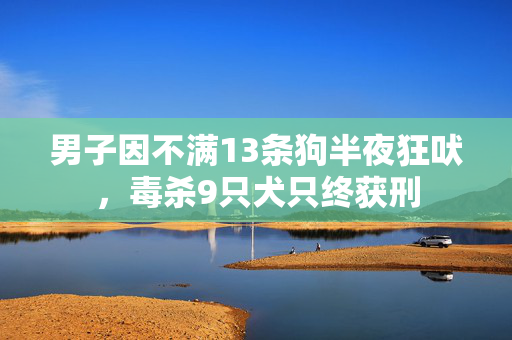 男子因不满13条狗半夜狂吠，毒杀9只犬只终获刑