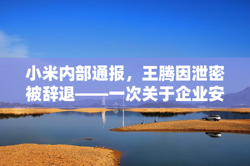 小米内部通报，王腾因泄密被辞退——一次关于企业安全与职业道德的深刻反思