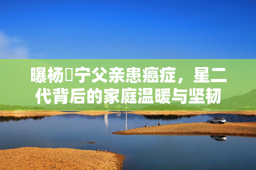 曝杨祐宁父亲患癌症，星二代背后的家庭温暖与坚韧