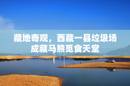 藏地奇观，西藏一县垃圾场成藏马熊觅食天堂
