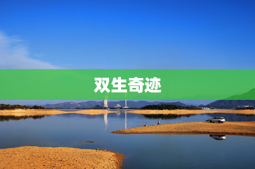 双生奇迹