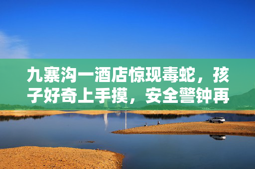 九寨沟一酒店惊现毒蛇，孩子好奇上手摸，安全警钟再次敲响