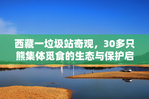 西藏一垃圾站奇观，30多只熊集体觅食的生态与保护启示